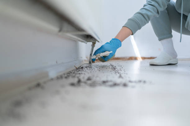 Reliable Maywood Park, OR Pest Control Solutions